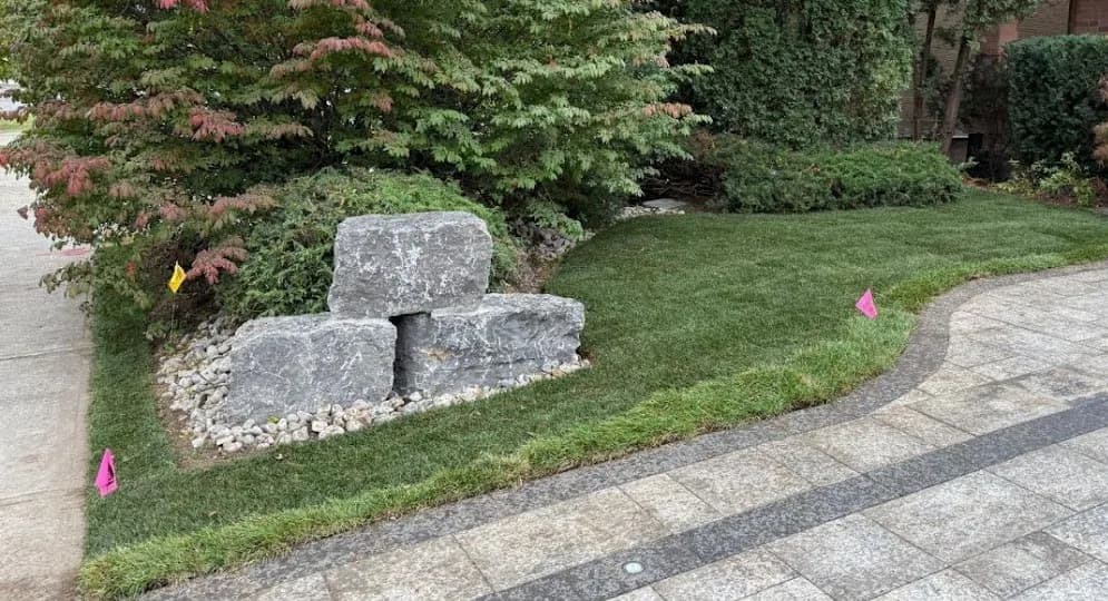 Completed lawn and landscape restoration with new sod and a defined bed edge